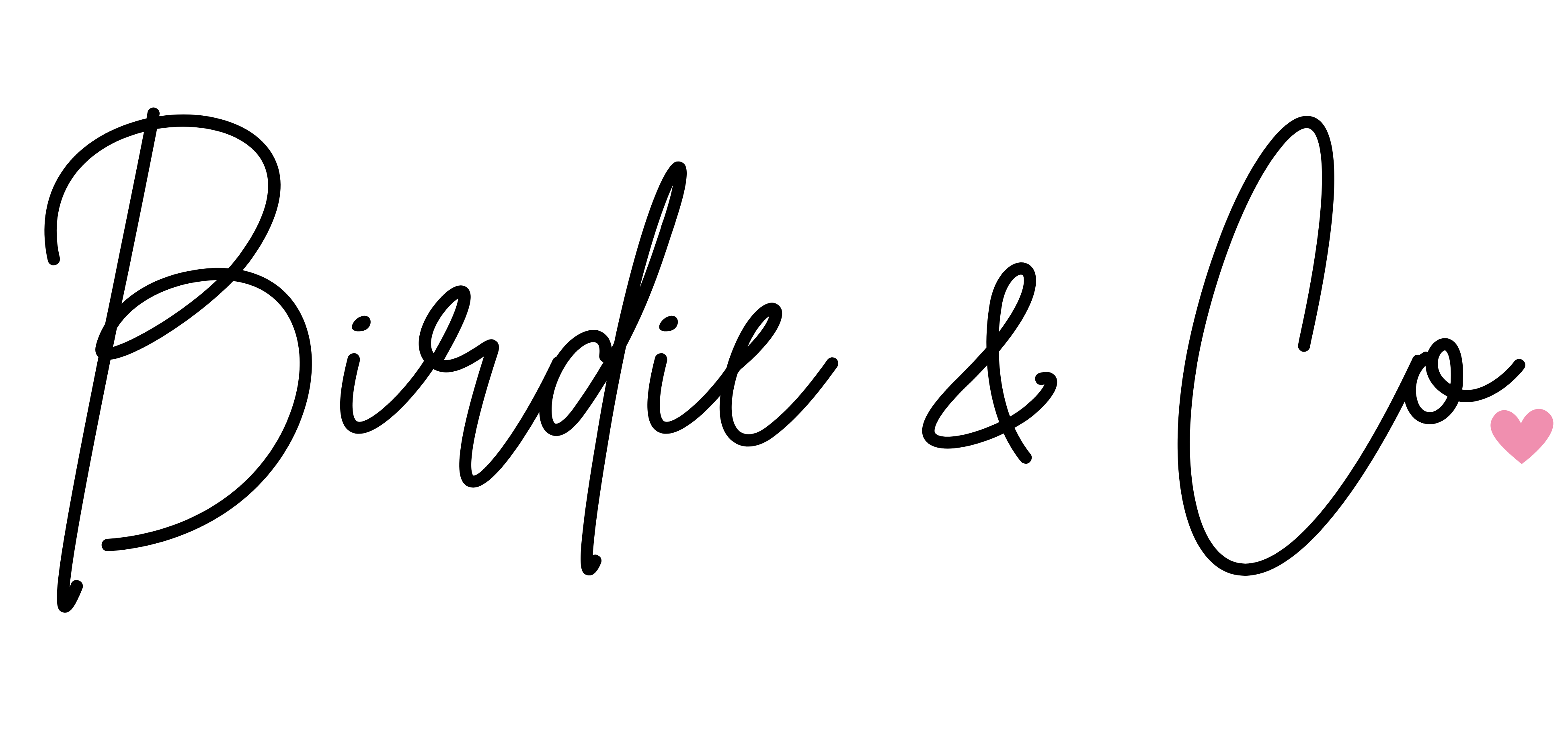 Birdie & Co logo